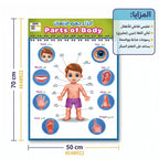 كتاب أجزاء جسم الانسان