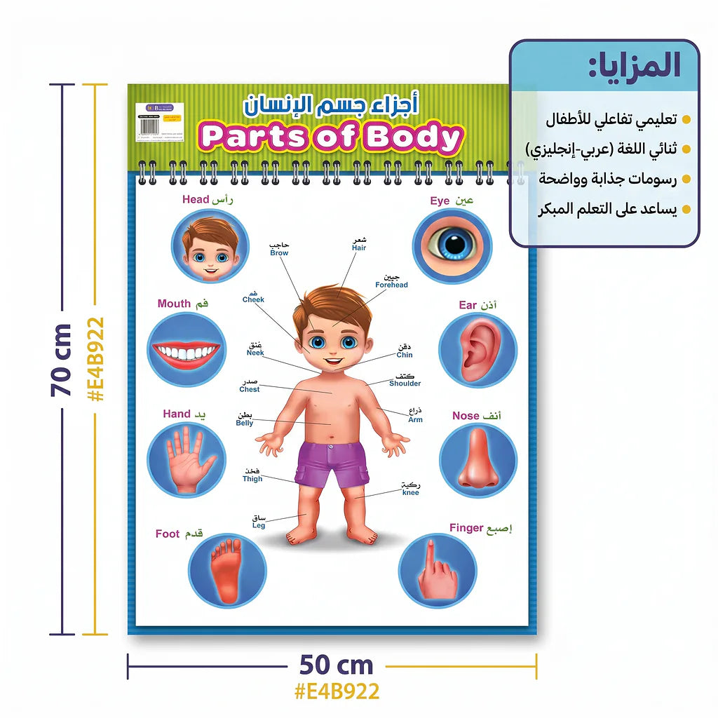 كتاب أجزاء جسم الانسان