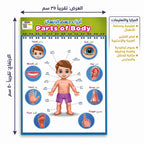 كتاب أجزاء جسم الانسان
