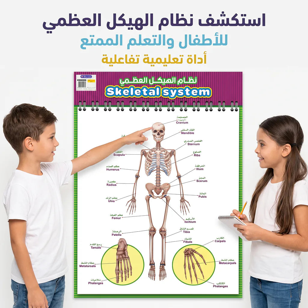 كتاب نظام الهيكل العظمي Main image