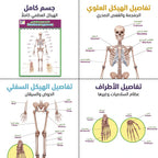 كتاب نظام الهيكل العظمي
