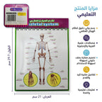 كتاب نظام الهيكل العظمي