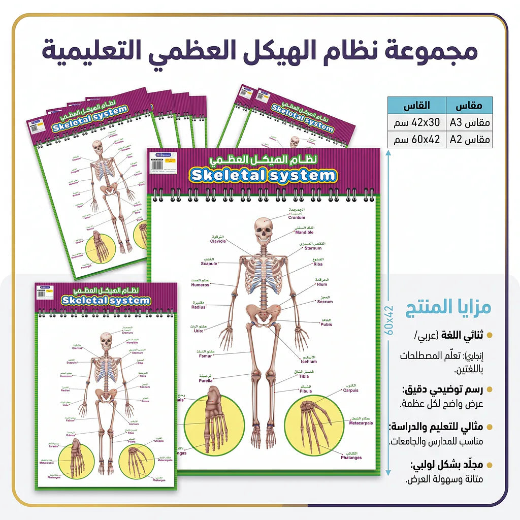كتاب نظام الهيكل العظمي