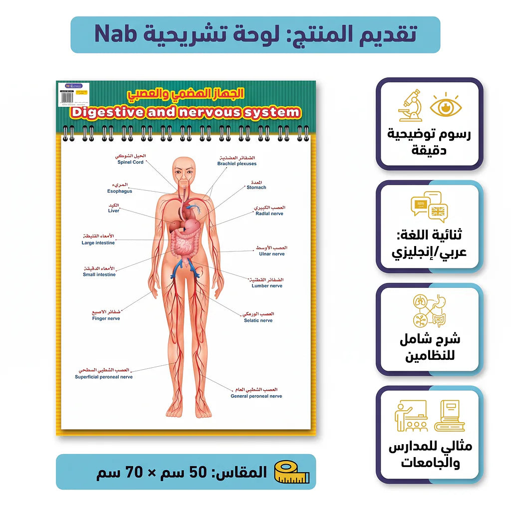كتاب الجهاز الهضمي والعصبي Main image