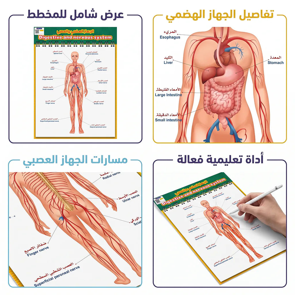 كتاب الجهاز الهضمي والعصبي