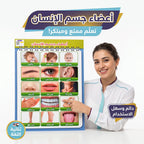 كتاب أعضاء جسم الانسان
