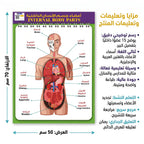 كتاب أعضاء جسم الانسان الداخلية