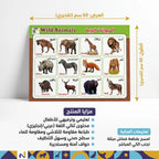 لوحة الحيوانات البرية