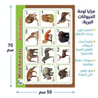 لوحة الحيوانات البرية