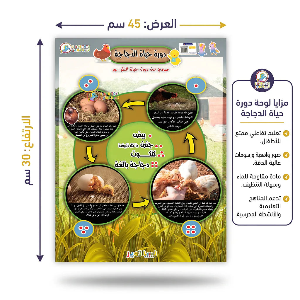 كتاب دورة حياد الدجاجة Main image