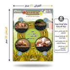 كتاب دورة حياد الدجاجة