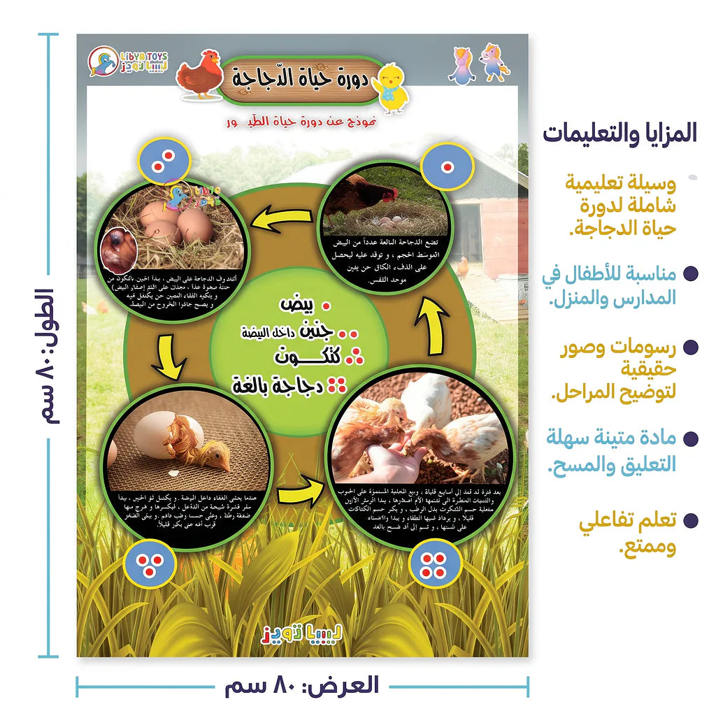 كتاب دورة حياد الدجاجة Secondary image