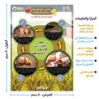 كتاب دورة حياد الدجاجة