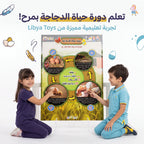 كتاب دورة حياد الدجاجة