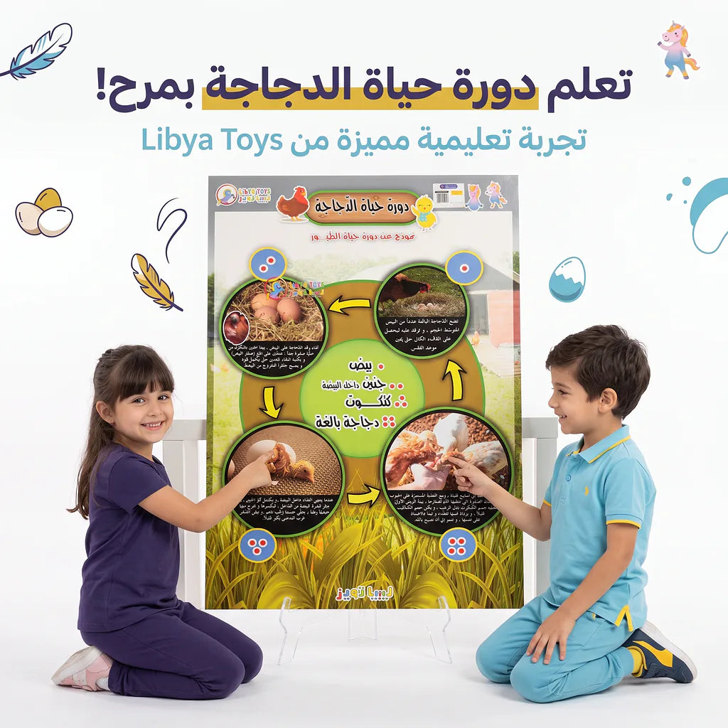 كتاب دورة حياد الدجاجة