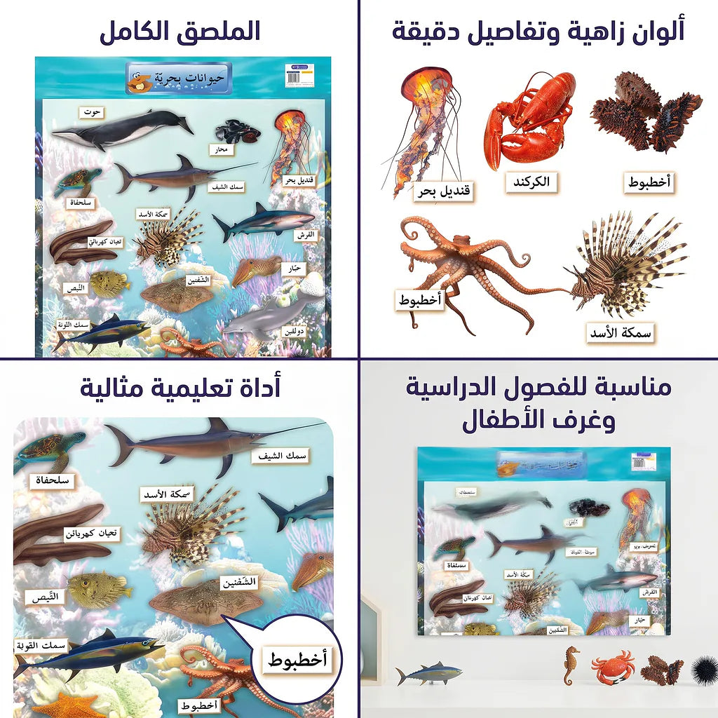 كتاب تعلم الحيوانات بحرية Secondary image