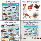 كتاب تعلم الحيوانات بحرية
