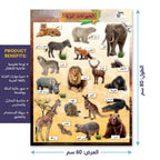 كتاب الحيوانات البرية