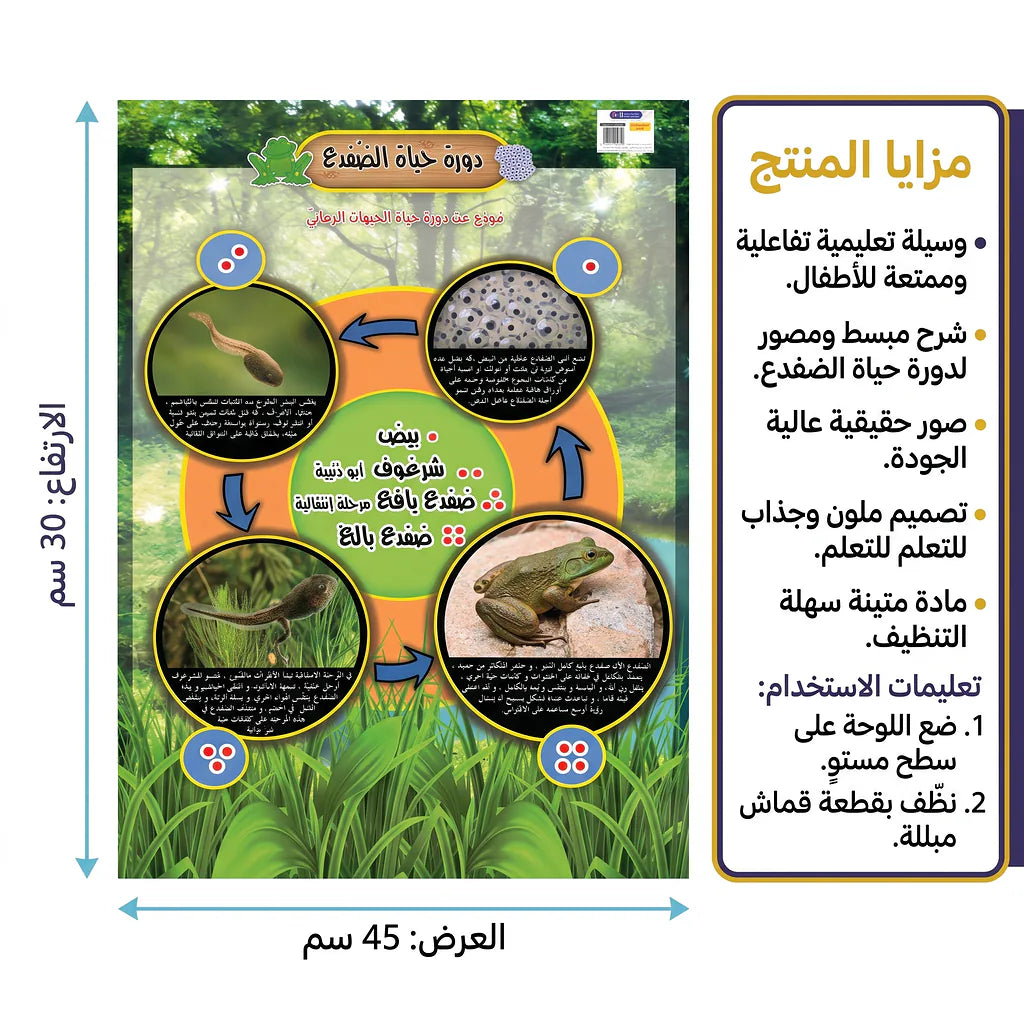 كتاب دورة حياة الضفدع