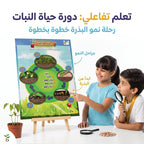 كتاب دورة حياة الفراشة