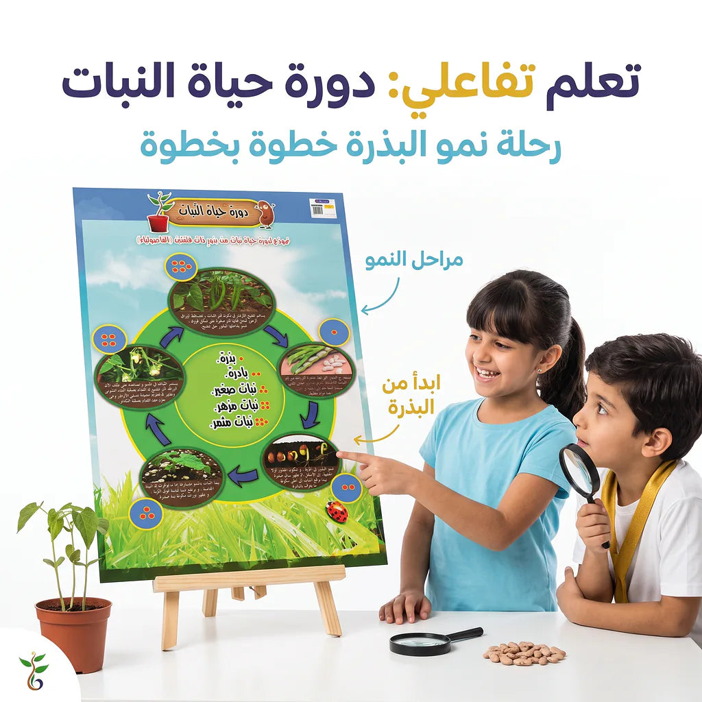 كتاب دورة حياة الفراشة