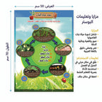 كتاب دورة حياة الفراشة