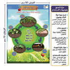كتاب دورة حياة النبات