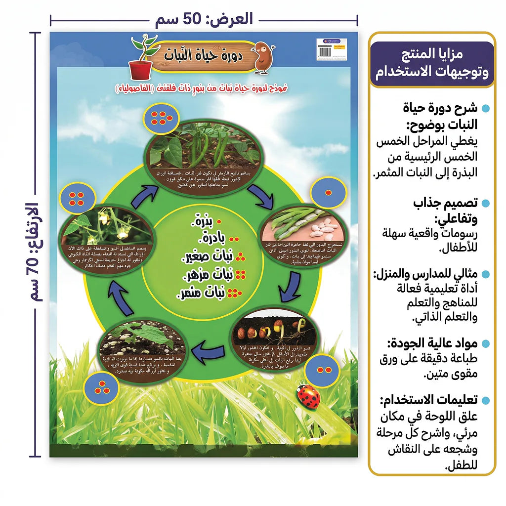 كتاب دورة حياة النبات