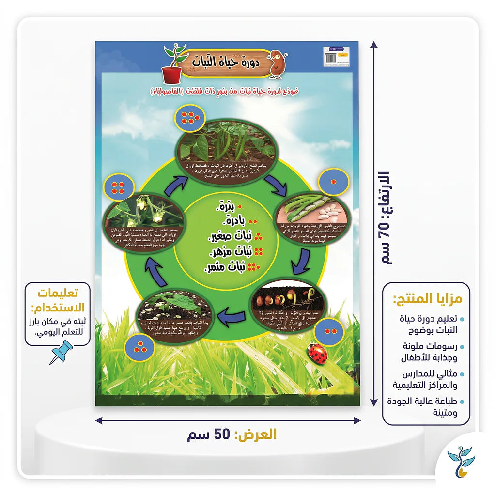 كتاب دورة حياة النبات