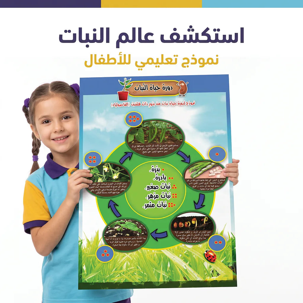 كتاب دورة حياة النبات