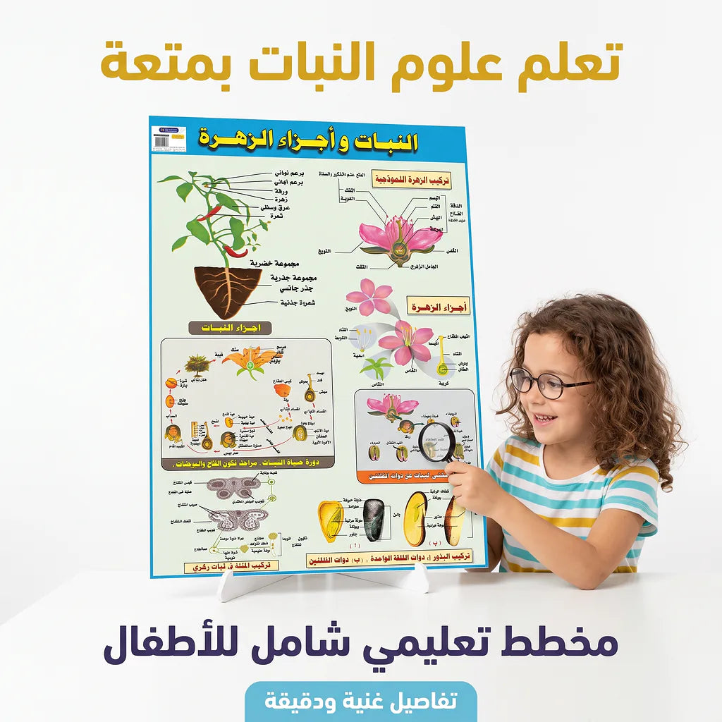 كتاب النبات وأجزاء الزهرة Secondary image
