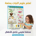 كتاب النبات وأجزاء الزهرة