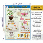 كتاب النبات وأجزاء الزهرة