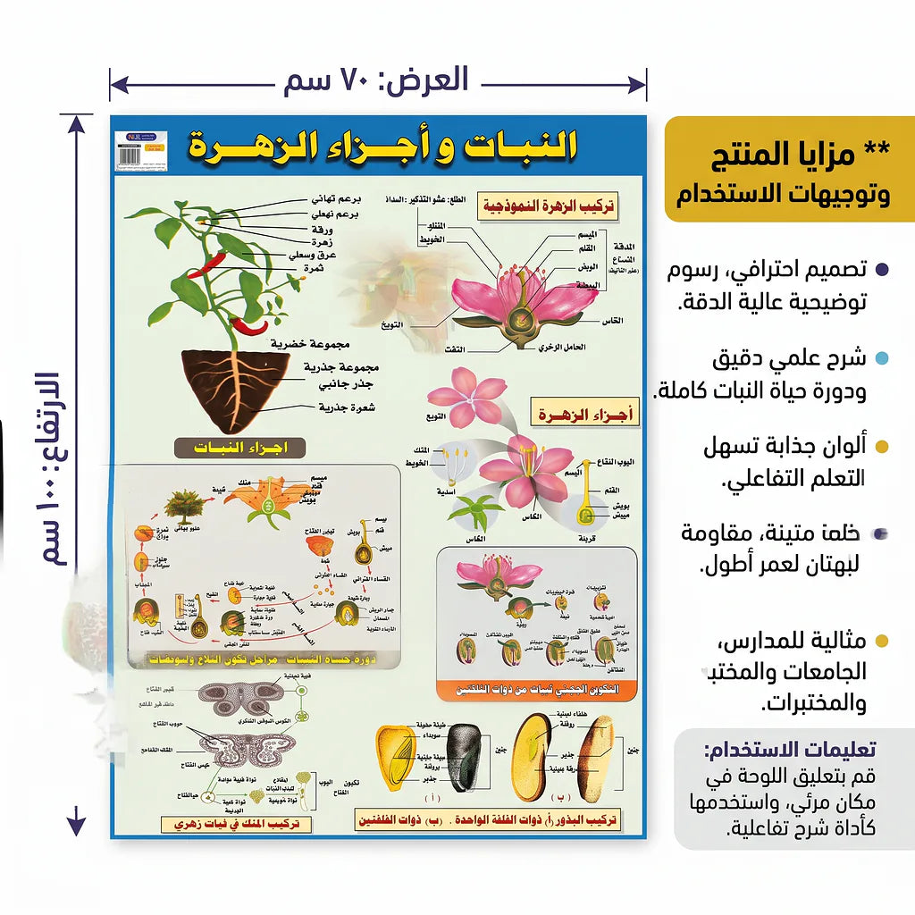 كتاب النبات وأجزاء الزهرة