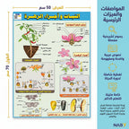 كتاب النبات وأجزاء الزهرة