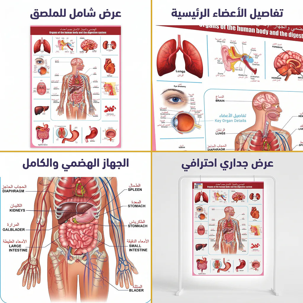 كتاب اعضاء و أجهزة الانسان Secondary image
