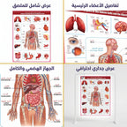 كتاب اعضاء و أجهزة الانسان