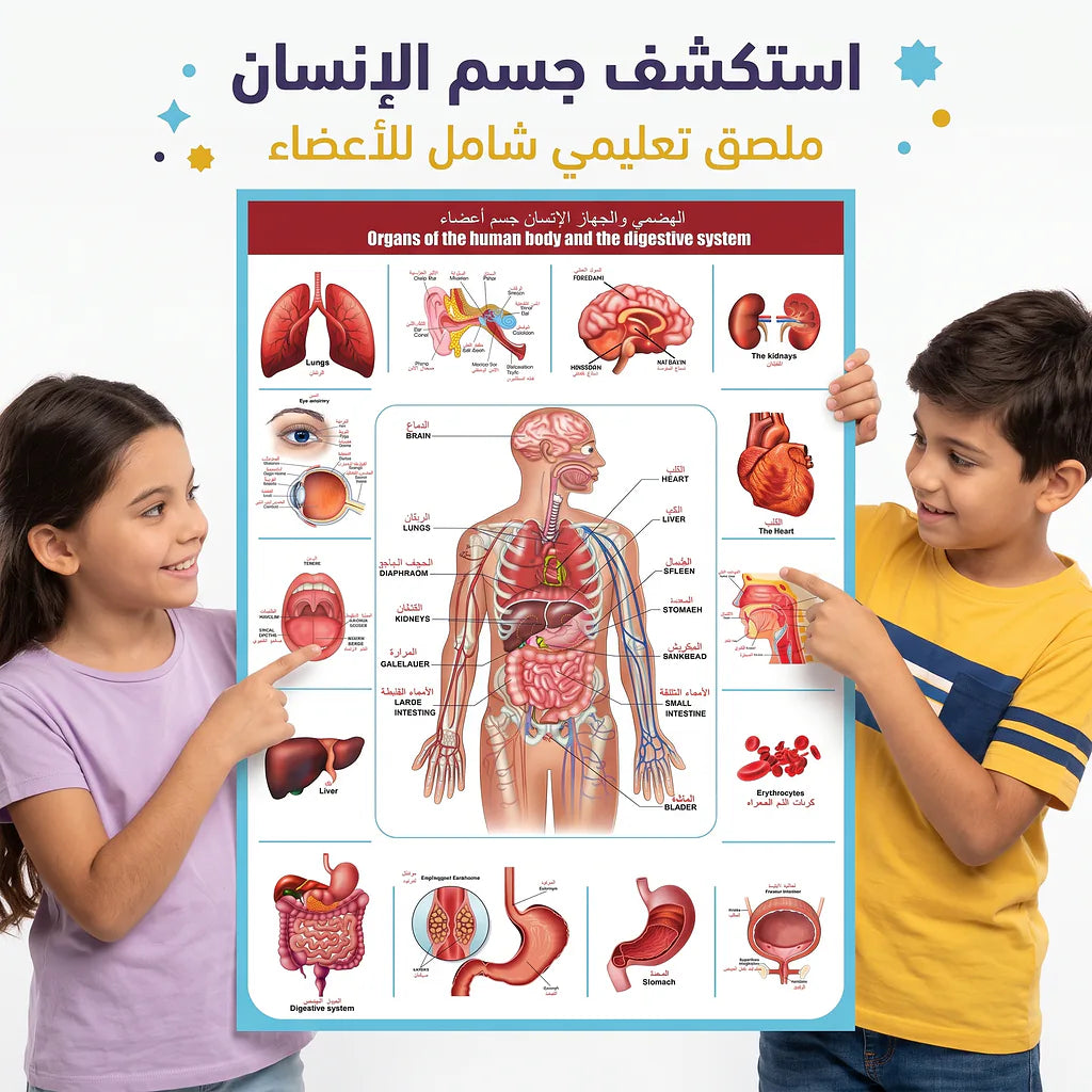 كتاب اعضاء و أجهزة الانسان
