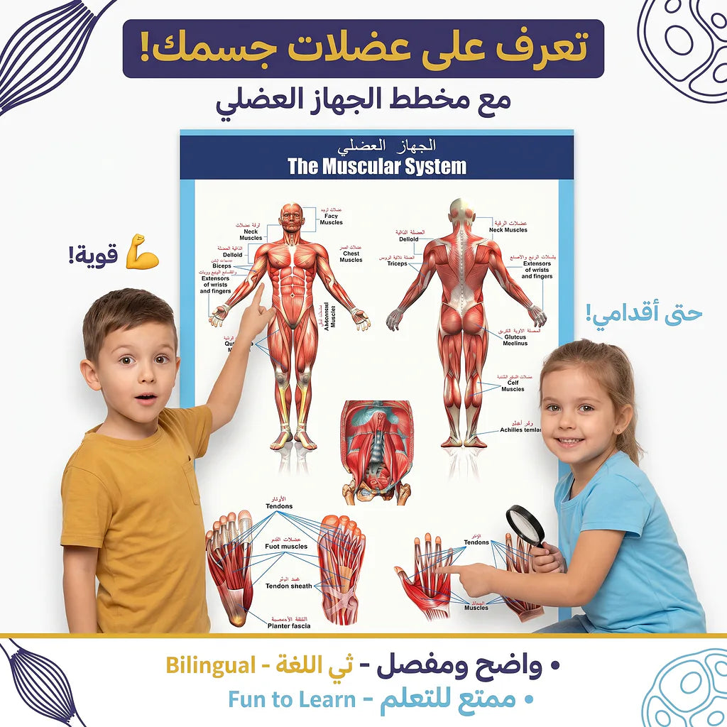 كتاب الجهاز العضلي