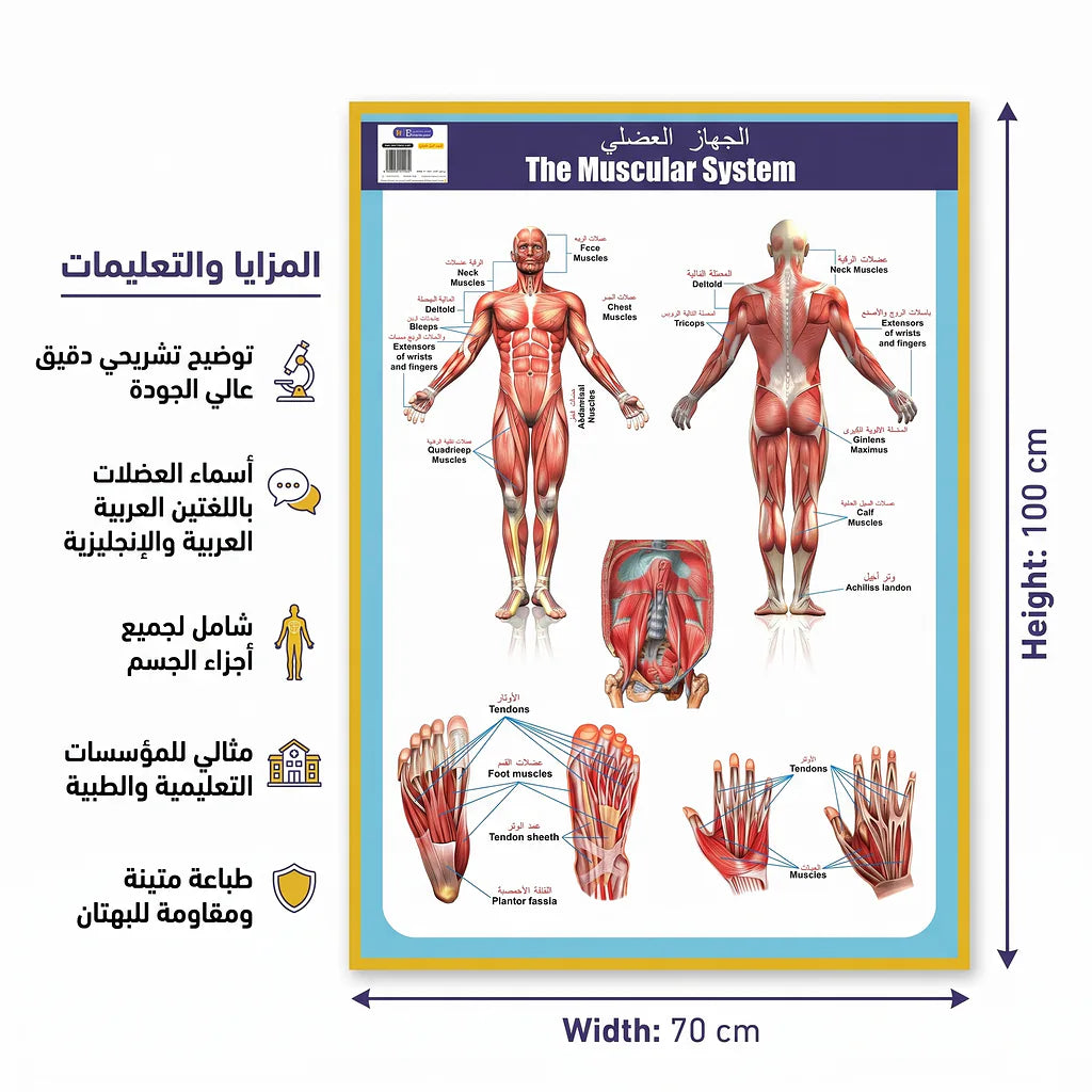 كتاب الجهاز العضلي