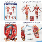 كتاب الجهاز العضلي