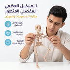 لعبة هيكل عظمي