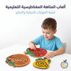متاهة الفواكة المغناطيسية