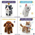 دمية القطط اللطيفة
