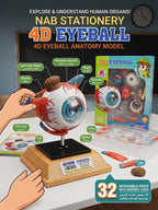 4D نموذج عين