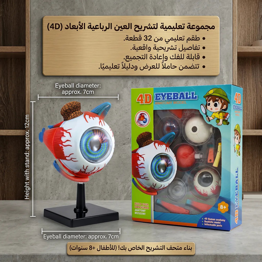 4D نموذج عين