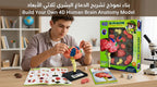 4D نموذج دماغ